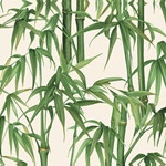 Tassotti Paper - Bambu 19.5" x 27.5" Sheet
