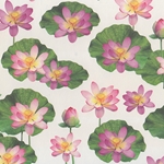 Tassotti Paper- Lotus Flower 19.5x27.5 Inch Sheet