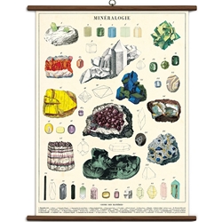 Cavallini Vintage School Chart- Mineralogie