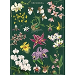 Cavallini Decorative Paper Sheet - Orchid