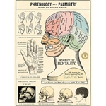 Cavallini Decorative Paper Sheet - Phrenology & Palmistry