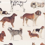 Tassotti Paper- Dogs 19.5x27.5 Inch Sheet