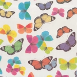 Tassotti Paper- Watercolor Butterfly Collection 19.5x27.5 Inch Sheet