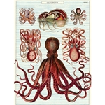 Cavallini Decorative Paper - Octopods 20"x28" Sheet