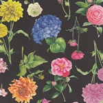 Tassotti Paper- Floral on Black 19.5x27.5 Inch Sheet