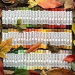 Henri Roche 72 Piece Autumn Leaves Set in a Wood Box