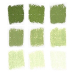 Roche Pastel Values Set of 9- Leaf Green 5450 Series