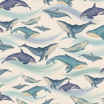 *NEW!* Tassotti Paper - Marine Mammals 19.5"x27.5" Sheet