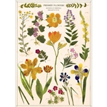 **NEW!** Cavallini Decorative Paper - Pressed Flowers 20"x28" Sheet