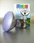 Chromalux Full Spectrum Light Bulb - 75W Reflector