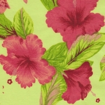 India Floral Screenprints
