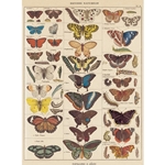 Cavallini Decorative Paper - Natural History Butterflies 20"x28" Sheet