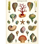 Cavallini Decorative Paper - Marveilles de La Mer 20"x28" Sheet