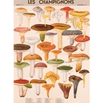 Cavallini Decorative Paper - Mushrooms 20"x28" Sheet