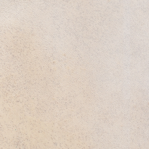 Natural Animal Skin Parchment Goat 8x10 Inch Sheets