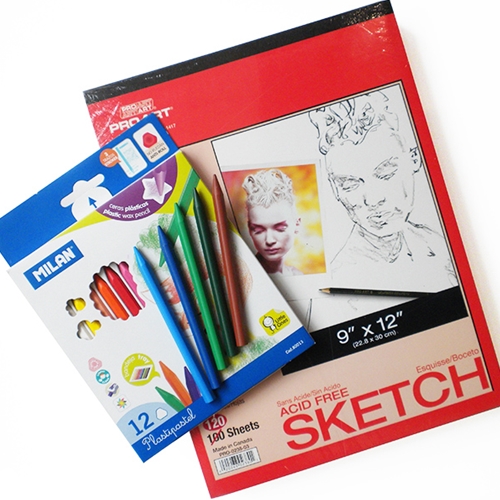 Art Survival Kit- PlastiPastel & Sketchbook Set
