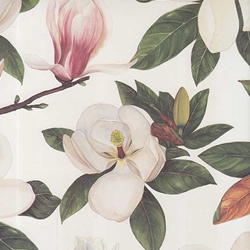 Tassotti Paper- Magnolia 19.5x27.5 Inch Sheet