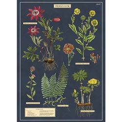 Cavallini Decorative Paper - Herbarium 20"x28" Sheet