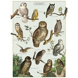 Cavallini Decorative Paper - Owl Chart 20"x28" Sheet