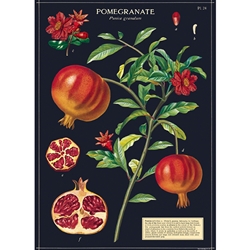 Cavallini Decorative Paper - Pomegranate 20"x28" Sheet