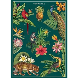Cavallini Decorative Paper - Tropicale 20"x28" Sheet