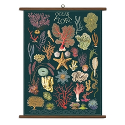 Cavallini Vintage School Chart- Ocean Flora