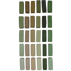 Terry Ludwig Pastels - Neutral Green Set of 30
