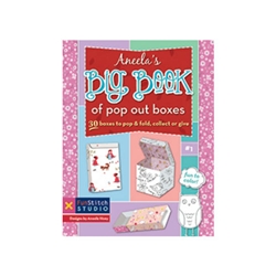 Aneela's Big Book of Pop Out Boxes by Aneela Hoey