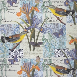 Rossi Decorative Paper from Italy- Birds and Iris 28x40 Inch Sheet