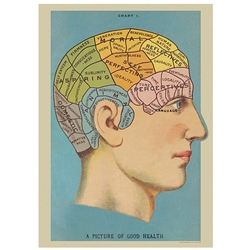 Cavallini Decorative Paper Sheet - Phrenology (Brain)