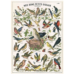 Cavallini Decorative Paper - Nos Bons Petits Oiseaux 20"x28" Sheet