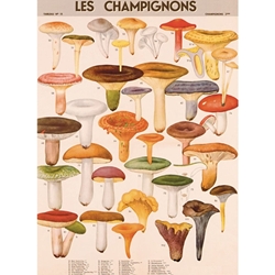Cavallini Decorative Paper - Mushrooms 20"x28" Sheet