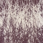Forest Paper from Nepal