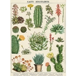 Cavallini Decorative Paper - Cacti &amp; Succulents 20"x28" Sheet
