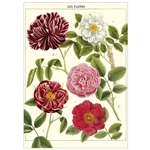 Cavallini Decorative Paper - Les Fleurs 20"x28" Sheet