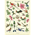 Cavallini Decorative Paper - Hummingbirds 20"x28" Sheet