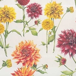 Tassotti Paper- Zinnia Floral 19.5x27.5 Inch Sheet