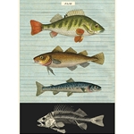 Cavallini Decorative Paper - Fish 20"x28" Sheet