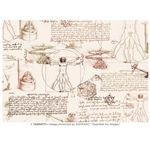 Tassotti Paper- Leonardo 19.5" x 27.5"
