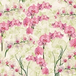 Tassotti Paper - Orchidea 19.5" x 27.5" Sheet