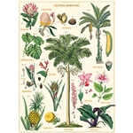 Cavallini Decorative Paper - Tropical Plants 20"x28" Sheet