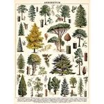 Cavallini Decorative Paper - Arboretum 20"x28" Sheet