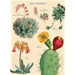 Cavallini Decorative Paper - Cacti & Succulents 2 Wrap 20"x28" Sheet