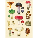 Cavallini Decorative Paper - Mushrooms 2 Wrap 20"x28" Sheet