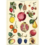 Cavallini Decorative Paper - Fruit 2 Wrap 20"x28" Sheet
