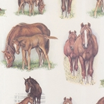 Tassotti Paper - Horses 19.5"x27.5" Sheet