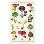 Cavallini Tea Towel- Mushrooms