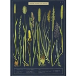 Cavallini Decorative Paper - British Grasses and Sedges 20"x28" Sheet