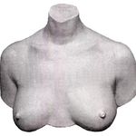 Art Molds My Breast Friends Life Casting Kit