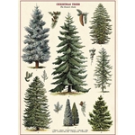 Cavallini Decorative Paper Wrap- Christmas Trees 20x28" Sheet